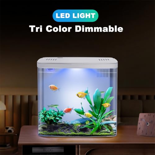 Craftsboys 4.5L Aquarium Starter kits, Small Betta Fish Tank with Led and Filter (White)