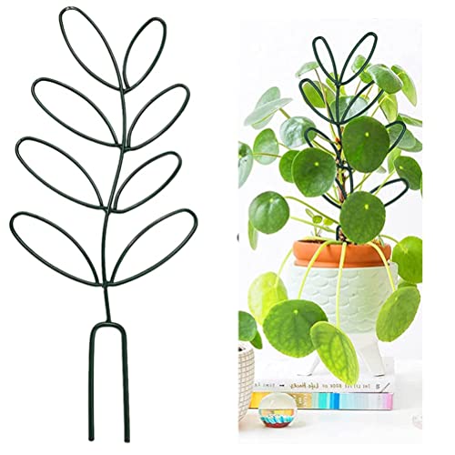 K[fgX c^̃ȍȃgX LE N}`X|bg  O ť`AgX z[Ac[ ADƂւ̃MtgACfA (O[)