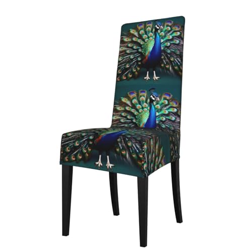 ABYchdd Hermosa funda para silla de comedor extraíble y elástica con estampado de pavo real, decoración de silla reutilizable para cocina, hotel y fiesta