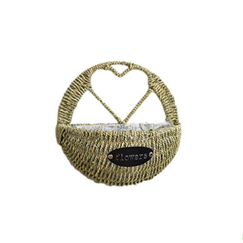 Paniers suspendus tenture pot de fleurs mural 24cm pour maison - 2