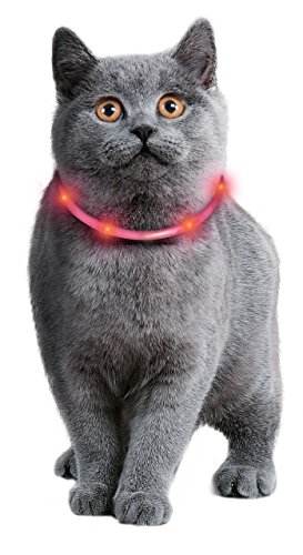 Karlie Visio Light Katze L: 35 cm pink