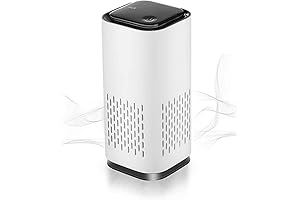 A1 2021 Mini HEPA USB-C Powered Air Purifier: Your Fresh Air Escape