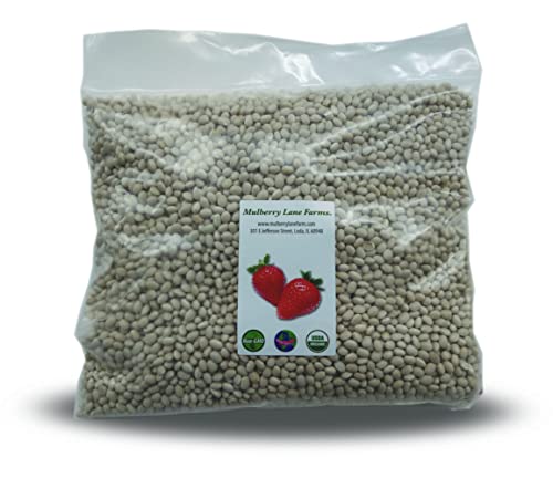 Navy Beans 5 Pounds USDA Certified Organic, Non-GMO Bulk, Product