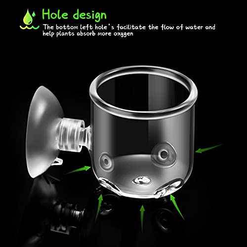 Chengu 6 Pieces Aquatic Plant Pot With Hole Glass Aquarium Plant Cup Aquatic Planter With Suction Cups Plant Holder Aquarium Decoration For Aquarium Shrimp Fish Live Plants, 3 Styles #TOP5