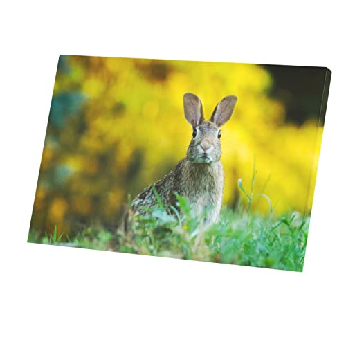 Tableau décoration lapin mignon haut de gamme impression sur toile salon 45x30cm