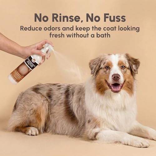 Image of Best Shot Scentament Spa Botanical Body Splash, Body Spray Conditioner for Pets, Cat and Dog Cologne Spray, Alcohol-Free, Ready To Use, Cinnamon Spice, 8 Oz.