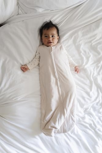 Image of Ely's & Co. Winter Sleep Sack, Wearable Blanket with Soft Quilting, Transitional Swaddle for Baby Boy /Girl, 1.0 TOG