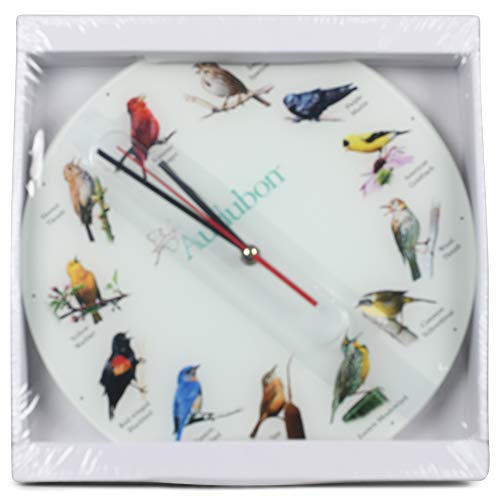 Mark Feldstein & Associates Audubon Songbird Species Non-Singing Classic White 12 Inch Smooth Glass Round Wall Clock #TOP4