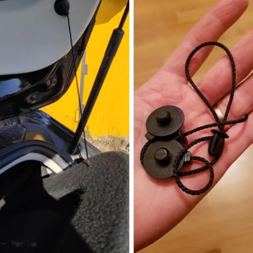 Sangles rangement étagère coffre Ford Focus résout le problème de levage