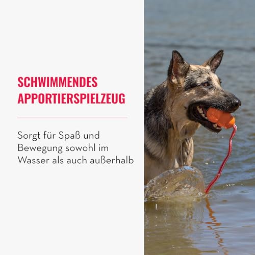 KONG Aqua Floating Fetch Toy - Hundespielzeug Für Wasser, Spiel und Training - Mit Schaumstoff-Innenseite und Wurfseil - Für Große Hunde - Orange