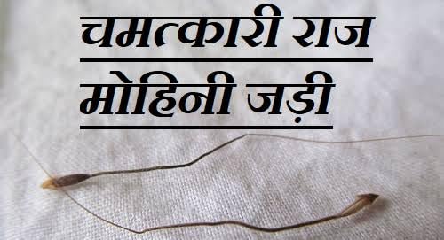 Hindu Guru Goyal Siddh Raj mohini jadi for Vashikaran and sammohan (B0DJ7QJRZ5) Amazon Price History, Amazon Price Tracker