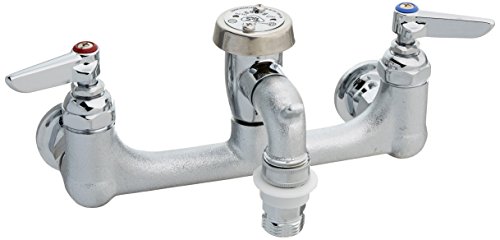 T&S Brass B-2271 Vacuum Breaker Rough Chrome Quick Disconnect Outlet Service Sink Faucet