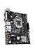 immagine 3ASUS Prime H310M-D R2.0 Scheda Madre Intel H310 mATX, DDR4 2666 MHz, HDMI, M.2, SATA 6 Gbps e USB 3.1 Gen 1