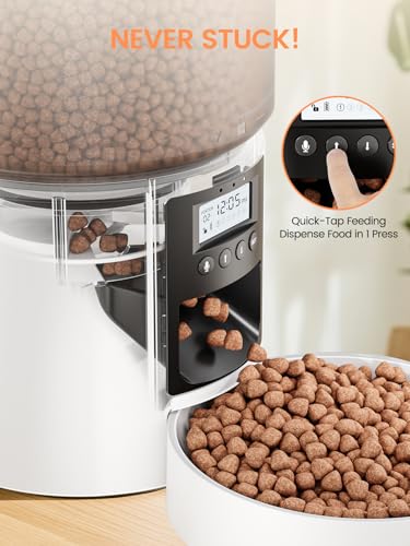 Futterautomat Katze 4 L, Katzenfutter Automat mit Timer 1-6 Mahlzeiten/Tag, Automatischer Futterspender für Katzen & Hunde, Pet Feeder Cat mit Sprachaufnahme 10 Sekunden für kleine/mittlere Haustiere