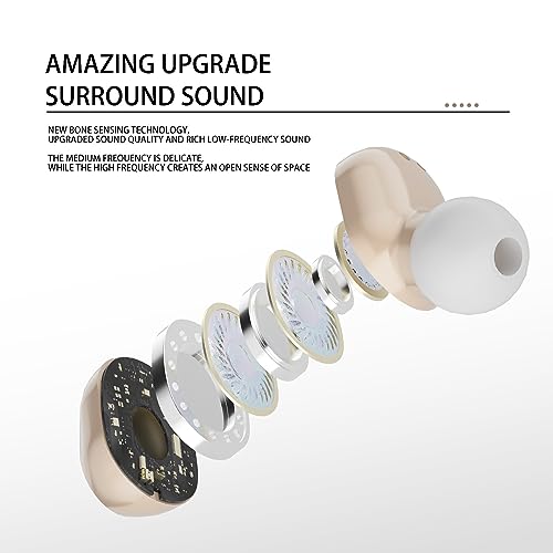 Hearing Aids Hearing Amplifiers Hearing Aids for Seniors Rechargeable with Noise Cancelling-Hearing Aid for Hearing Loss Hearing Amplifier for Seniors(1 Pair)
