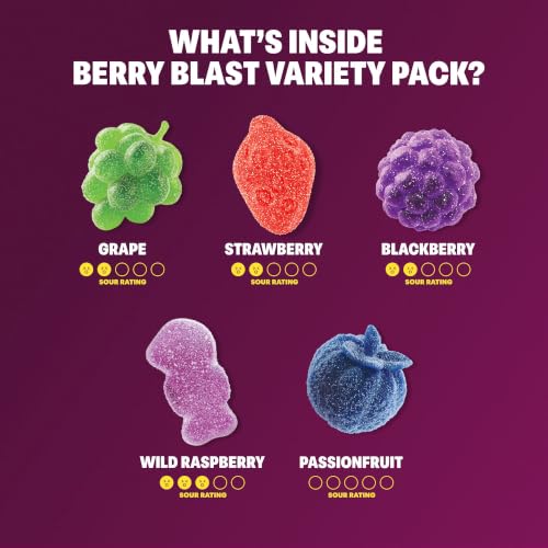 Shameless Snacks Berry Blast Gummy Candy Variety Pack & Fruit Snacks - image 9