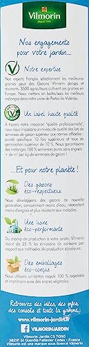 Gazon rustique robuste et esthétique semences Vilmorin 1kg - 5
