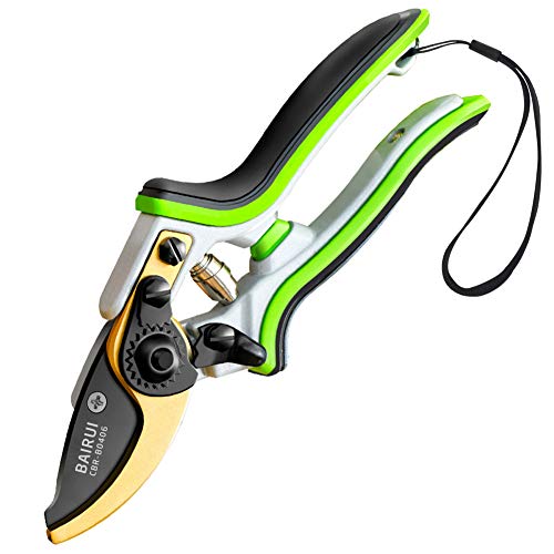 Garden Shears, Profession Steel Bypass Pruning Shears - Tree Trimmers Secateurs, Hand Pruner, gardening shears, Best Garden Tools for Gardening.