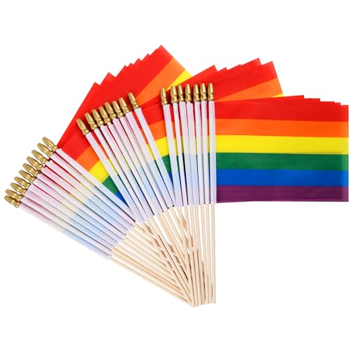 Qumenan 25 Pack Small Pride Flags on Sticks Mini Hand Held LGBT Flags for Pride Parade Rainbow Festival Party Decorations (5x8 Inches)