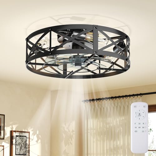 OLIXIS 19-Inch Low Profile Caged Fandelier