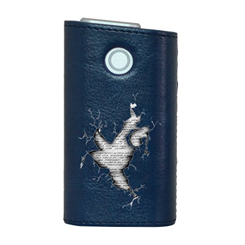 glo O[ OE p U[P[X U[Jo[ ^oR P[X Jo[  n[hP[X Jo[ [ fUC v  BLUE u[ mg[ p  013414