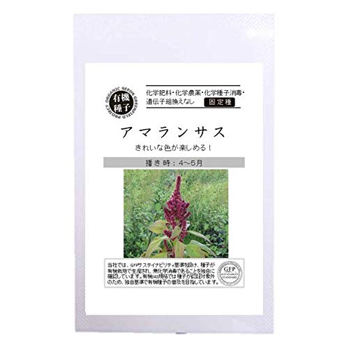 �y�L�@��q�z �A�}�����T�X S 100�� �펪���� 4�`5��