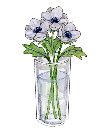 Watercolour Lessons