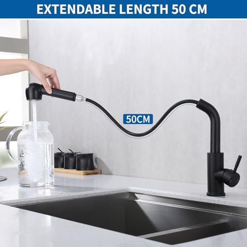 HOMELODY Spültischarmatur mit Brause Ausziehbar, Wasserhahn Küche mit 2 Strahlarten Geschirrbrause, 304 Edelstahl Küchenarmatur, Hochdruck Mischbatterie 360° Drehbar, Einhebelmischer Armatur Schwarz