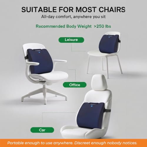 Image of Orthosit Orthopedic Lumbar Support | 5-Yr-Warranty | Back Support Cushion | Back Pain Relief| (Blue - Set of 2)