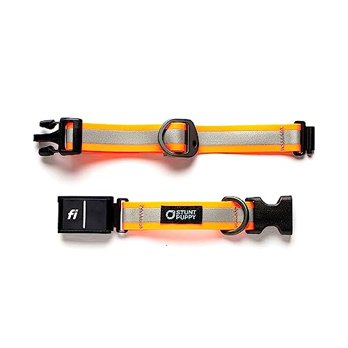 Stunt Puppy Dog Collar, Fi Series 3 Ready, Medium, Reflective Orange - Compatible with Fi GPS Device (Not Included)