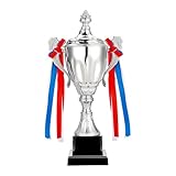 TROMEDENWS Gold Silver Bronze Trophy Award Cup Metal Trophy Cup for Soccer Basketball Sports Competitions Championships Award Ceremony Celebration Party Gift (Silvery, 11.4 x 5.5in)