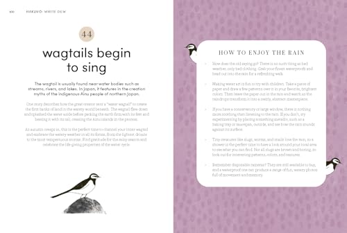 Microseasons: A Slow-Living Guide to the Year Following the Traditional Japanese Calendar - Image 18