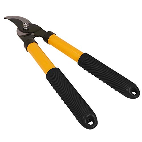 Preisvergleich Produktbild Professionelle Gartenschere - Heavy Duty Hand Gartenschere für anspruchsvolle Gartenarbeit - Vielseitig, Rasiermesser Sharp Garten Clippers, Baum Trimmer, Gartenschere und Stahl Bypass Pruner