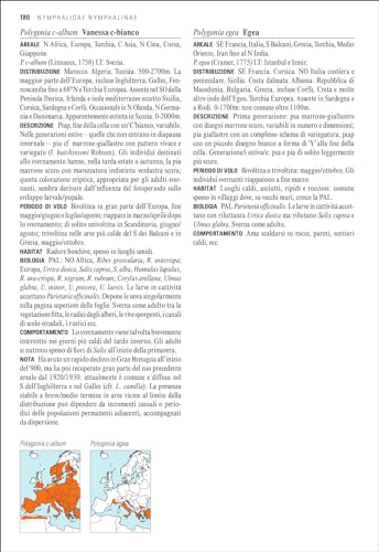 Guida Alle Farfalle D'europa. Ediz. A Colori - 5