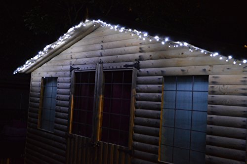 Premier 1,000 LED (25 meters of Lit Length) TreeBrights Cluster Christmas-Tree Lights in Cool White