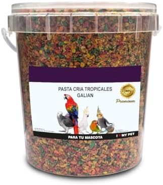 Pasta de Cría para Aves Tropicales | Cubo de 900 g | con Frutas Naturales | Nutrición Completa para Pájaros Exóticos | Ideal para Crecimiento y Plumaje