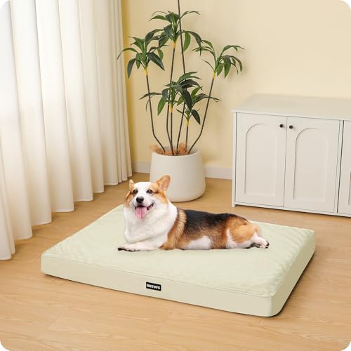 HMTOPE Orthopädisches Hundebett, 9cm Dicke Hundekissen für Mittelgroße Hunde, Abnehmbar und Waschbar Hundematte, rutschfeste Unterseite, Wasserdichtes Innenfutter, 91 cm, Beige