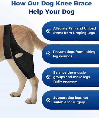 Image of Dog Knee Brace, Dog ACL Brace for Front Torn and Back Hind Rear Legs ACL Tear, Dog Hip Knee Leg Brace for Hip Dysplasia, Dog Arthritis, Luxating Patella, Comfortable
