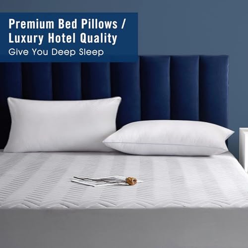 Image of Piwaal King Size Pillows 2 Pack Grey, Soft Support for Sleepers | Down-alternative fill, fluff by patting to adjust loft, breathable & cozy for any sleep position.