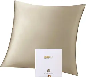 ZIMASILK 100% Pure Mulberry Silk Pillowcase for Hair and Skin Health,Soft and Smooth,Both Sides Premium Grade 6A Silk,600 Thread Count,with Hidden Zipper,1pc(Throw 18''x18'',Taupe)