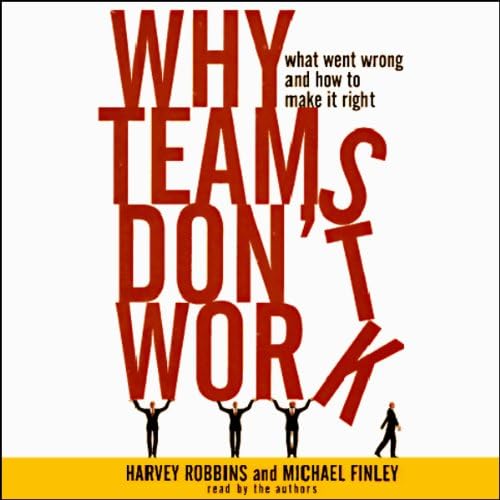 Why Teams Don't Work Audiobook by Harvey Robbins