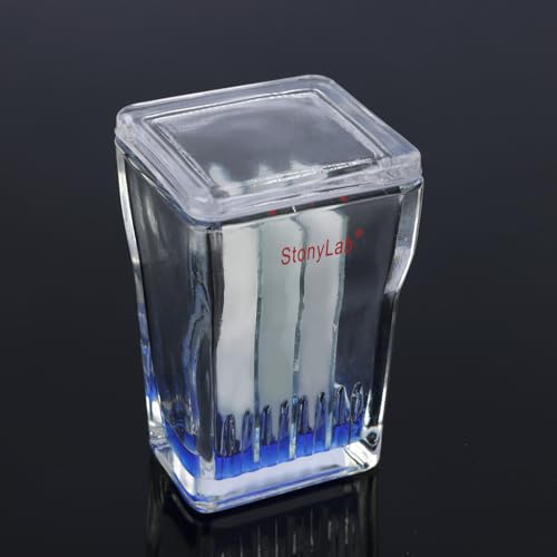 stonylab TLC Entwicklungstank, Borosilikatglas TLC Display Kammer Kleiner Färbetank für Dünnschichtchromatographie