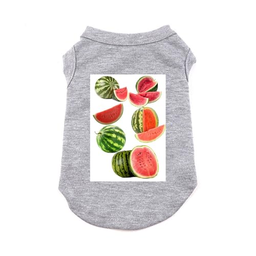 [XANPYO] ybg  t ̕ L  ybg TVc XS ѕ ^  킢 UoEFA tĕ Č tVc Eѕی  ƒ o O[