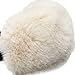 ZLYC Womens Girls Winter Fashion Adjustable Faux Fur EarMuffs Ear Warmers (Furry White)