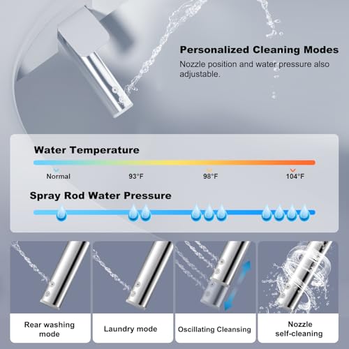 Luxury Heated Toilet Seat Bidet Combo