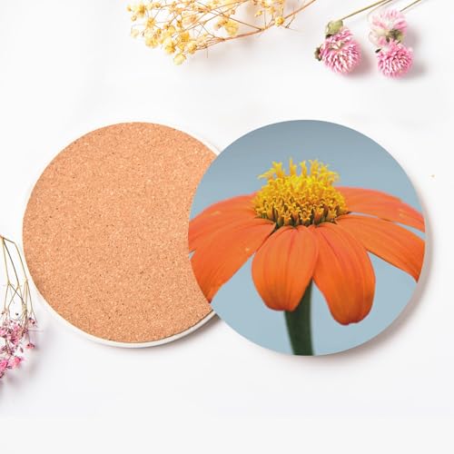Sous-verre ronds en céramique d'art floral lot de 6 dessous de table - 4