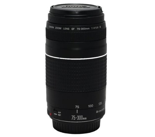 Amazon.com: Canon Ultrasonic EF 75-300mm f/4-5.6 III Lens