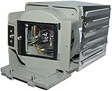 SPLAMP069 pour INFOCUS SPLAMP069 Ampoule de rechange pour projecteur INFOCUS SP-LAMP-069 IN112 IN114 IN116