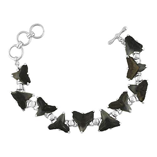 Starborn Fossil Shark Tooth Bracelet in Sterling Silver