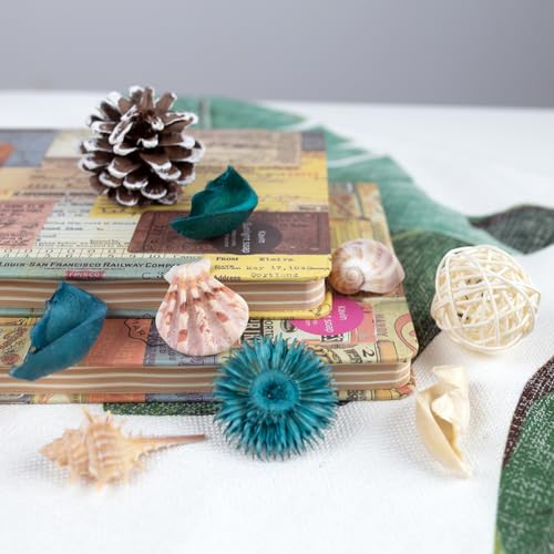 DomeStar Sea Shell Potpourri Bag, Turquoise Dried Petals Fresh Ocean Scent Sea Shell Conch and Rattan Ball Sachets Decorative Spring Fragrance Bowl Filler and Vase Filler